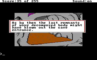 (message: As by then the last remnants of your decomposed body might have blown out the cave entrance.)