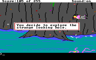 (message: You decide to explore the strange-looking hole.)